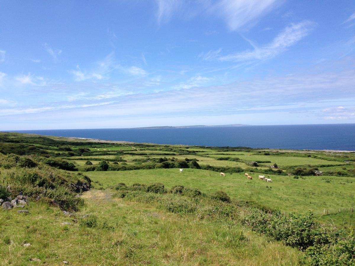 Wild Atlantic Breeze Guesthouse Doolin Eksteriør billede